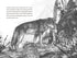 A WOLF CALLED WANDER - PARRY. ROSANNE